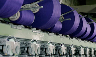 Mill and fibres at Neem