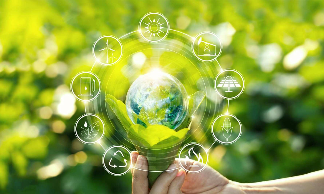Partnering with Green Story for Low-Emitting Clothing and Sustainable Solutions