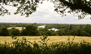 Embrace Eco Living: The Ultimate Green Hotels Guide