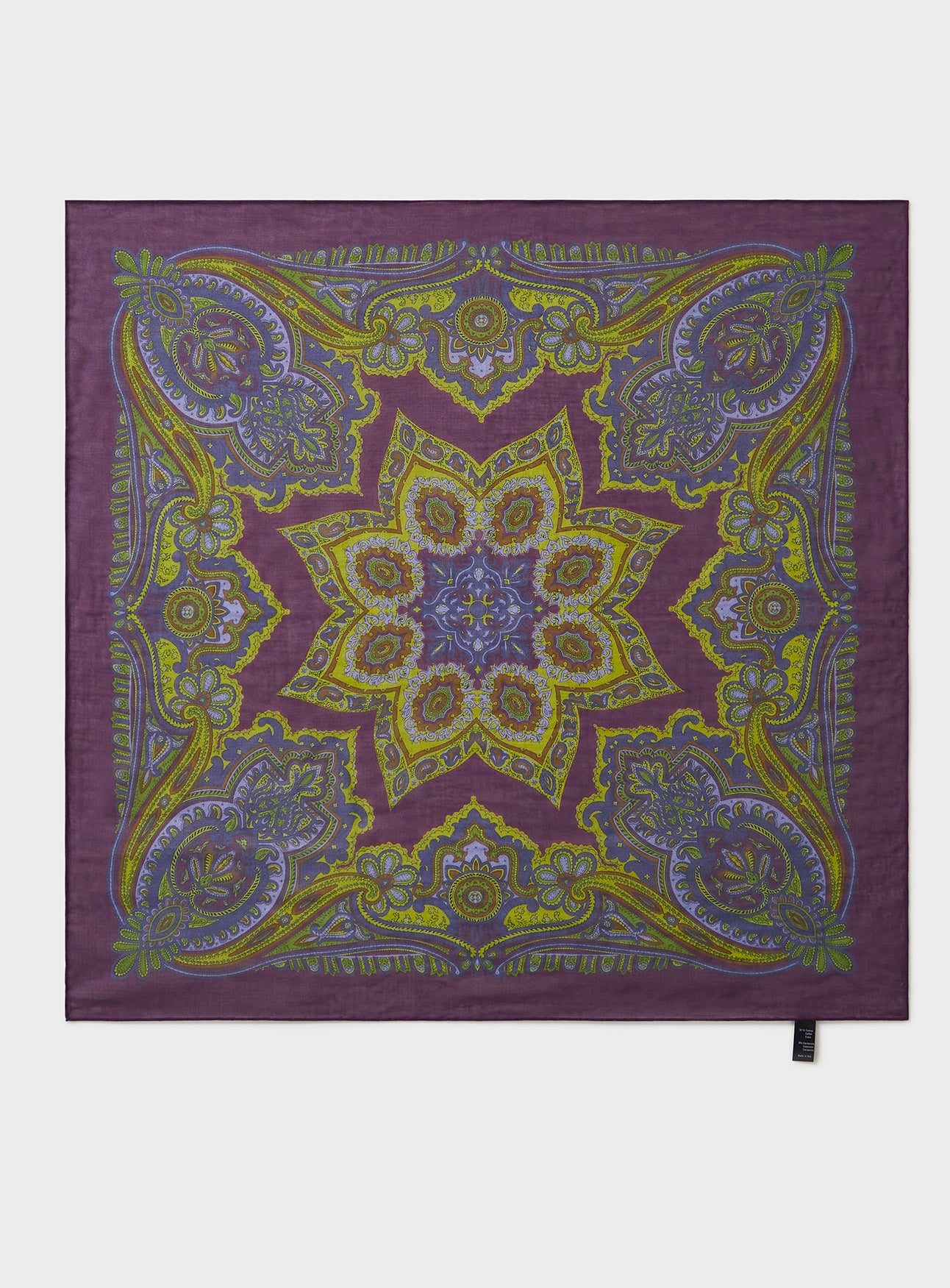 Italian Tencel Paisley Neck Scarf