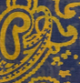 navy mustard paisley